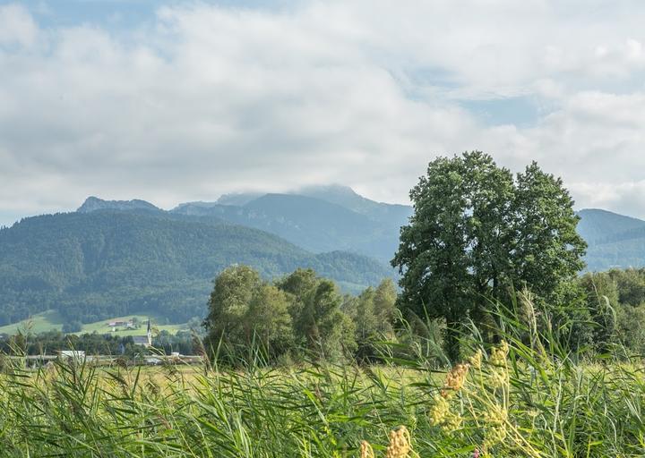 Wirtshaus zur Hirschauer Bucht